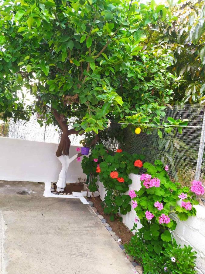Meimetis Green House Neapoli Voion Екстер'єр фото